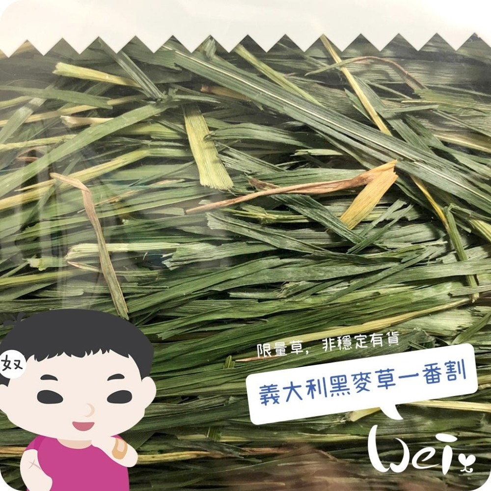 魏啥麻-日本WOOLY高原的義大利黑麥草一割 450g (梗多) 2024年度草 (兔牧草)-細節圖2