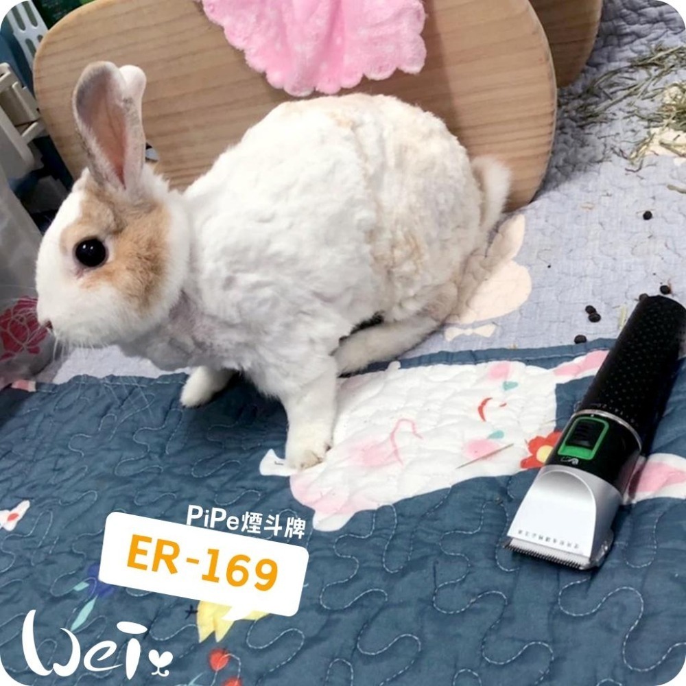 魏啥麻-(機身較止滑)PiPe煙斗牌寵物專業電剪ER-169/單賣刀頭 剃毛/剪毛(兔 天竺鼠)-細節圖5