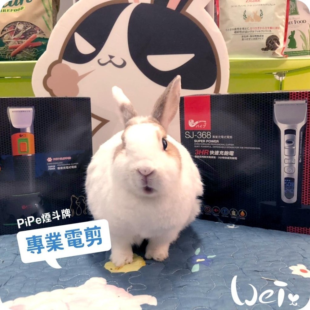 魏啥麻-(機身較止滑)PiPe煙斗牌寵物專業電剪ER-169/單賣刀頭 剃毛/剪毛(兔 天竺鼠)-細節圖7