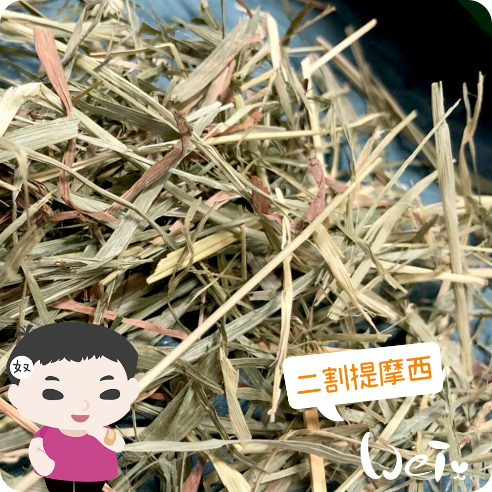 魏啥麻-摩米MOMI T2 二割經典提摩西 (梗葉各半 未過篩草) 兔 天竺鼠 龍貓牧草-細節圖3