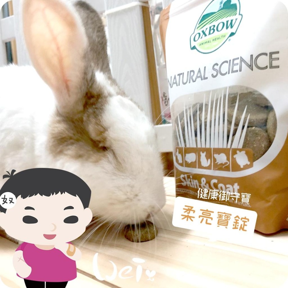 魏啥麻-美國OXBOW柔亮寶錠 60錠 (毛髮保健 含牧草 洋甘菊 牛蒡根) 健康御守寶(兔 天竺鼠保健品-細節圖6