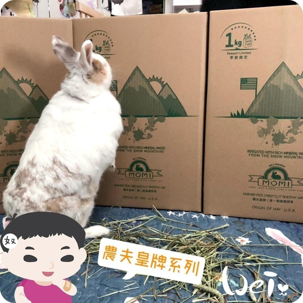 魏啥麻-摩米MOMI農夫皇牌 T2 二割提摩西 1kg (已過篩 梗葉各半) (兔 天竺鼠 龍貓牧草)-細節圖4