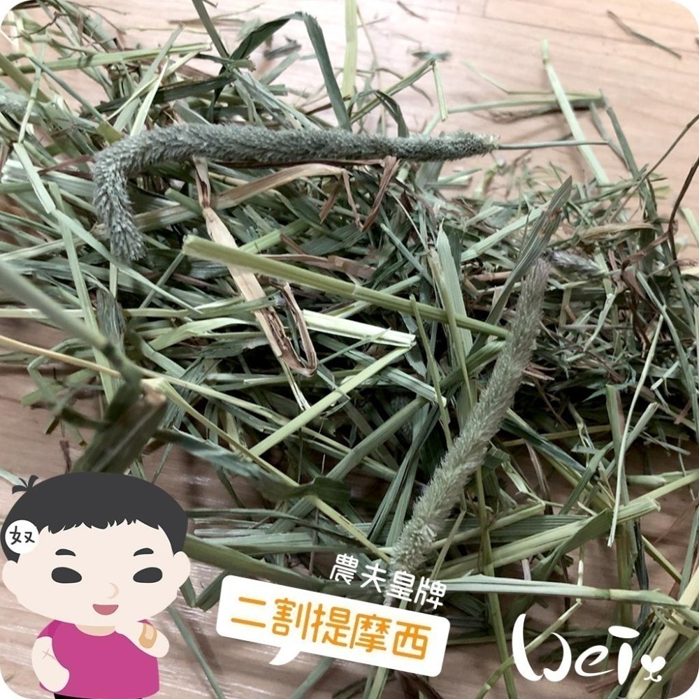 魏啥麻-摩米MOMI農夫皇牌 T2 二割提摩西 1kg (已過篩 梗葉各半) (兔 天竺鼠 龍貓牧草)-細節圖2