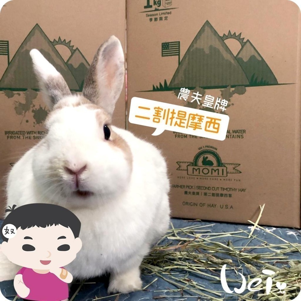 魏啥麻-摩米MOMI農夫皇牌 T2 二割提摩西 1kg (已過篩 梗葉各半) (兔 天竺鼠 龍貓牧草)-細節圖3