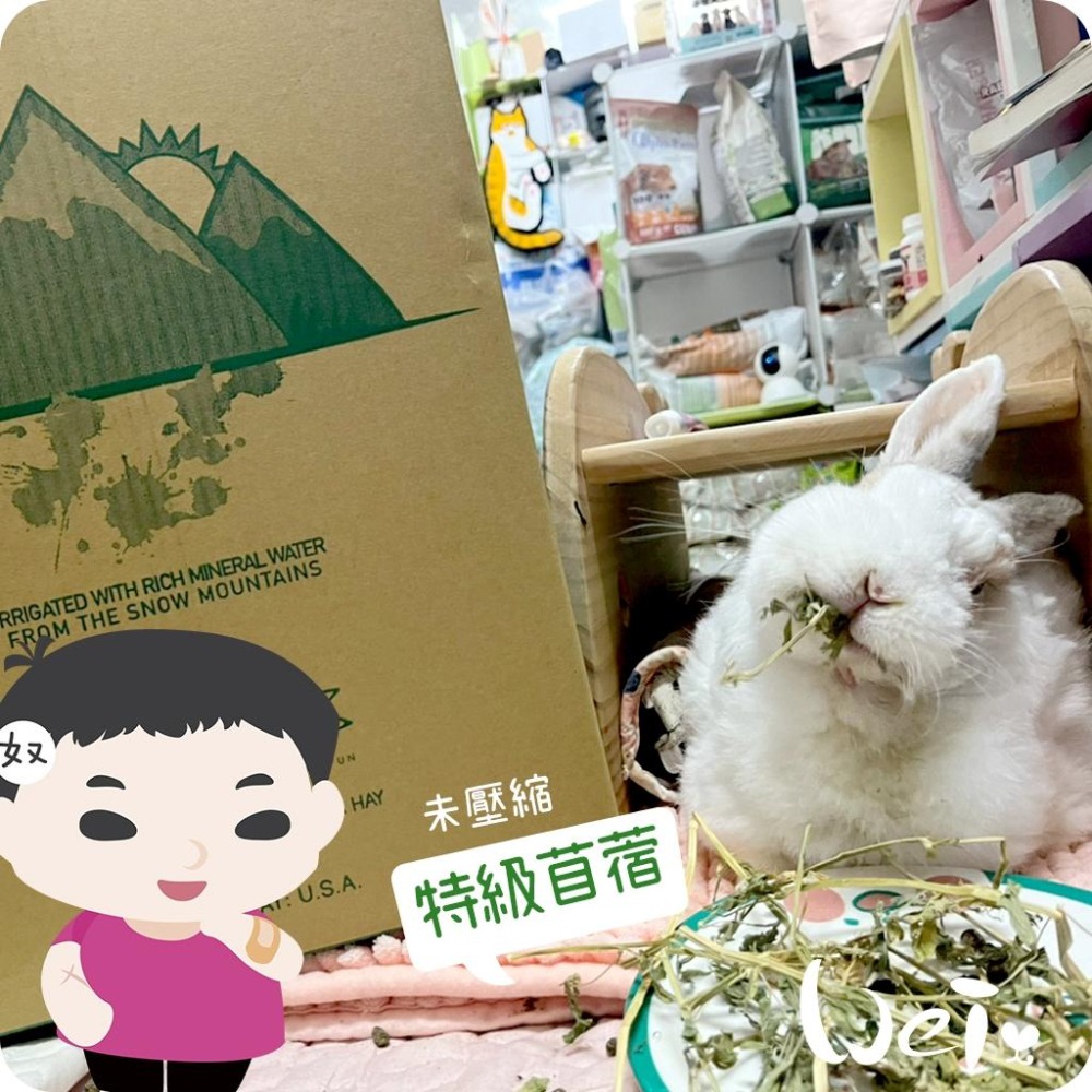 魏啥麻-摩米MOMI 農夫皇牌特選苜蓿草 1kg (兔 天竺鼠 龍貓牧草)-細節圖2