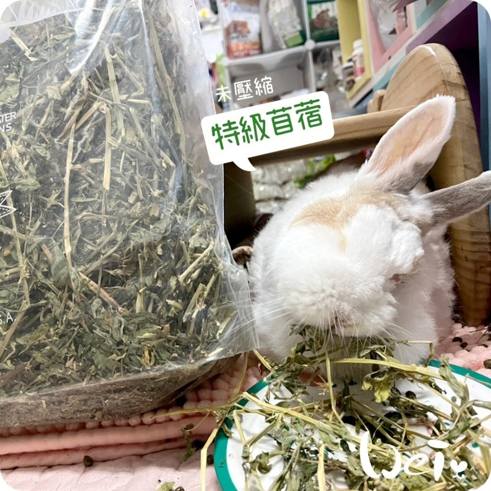 魏啥麻-摩米MOMI 農夫皇牌特選苜蓿草 1kg (兔 天竺鼠 龍貓牧草)-細節圖3