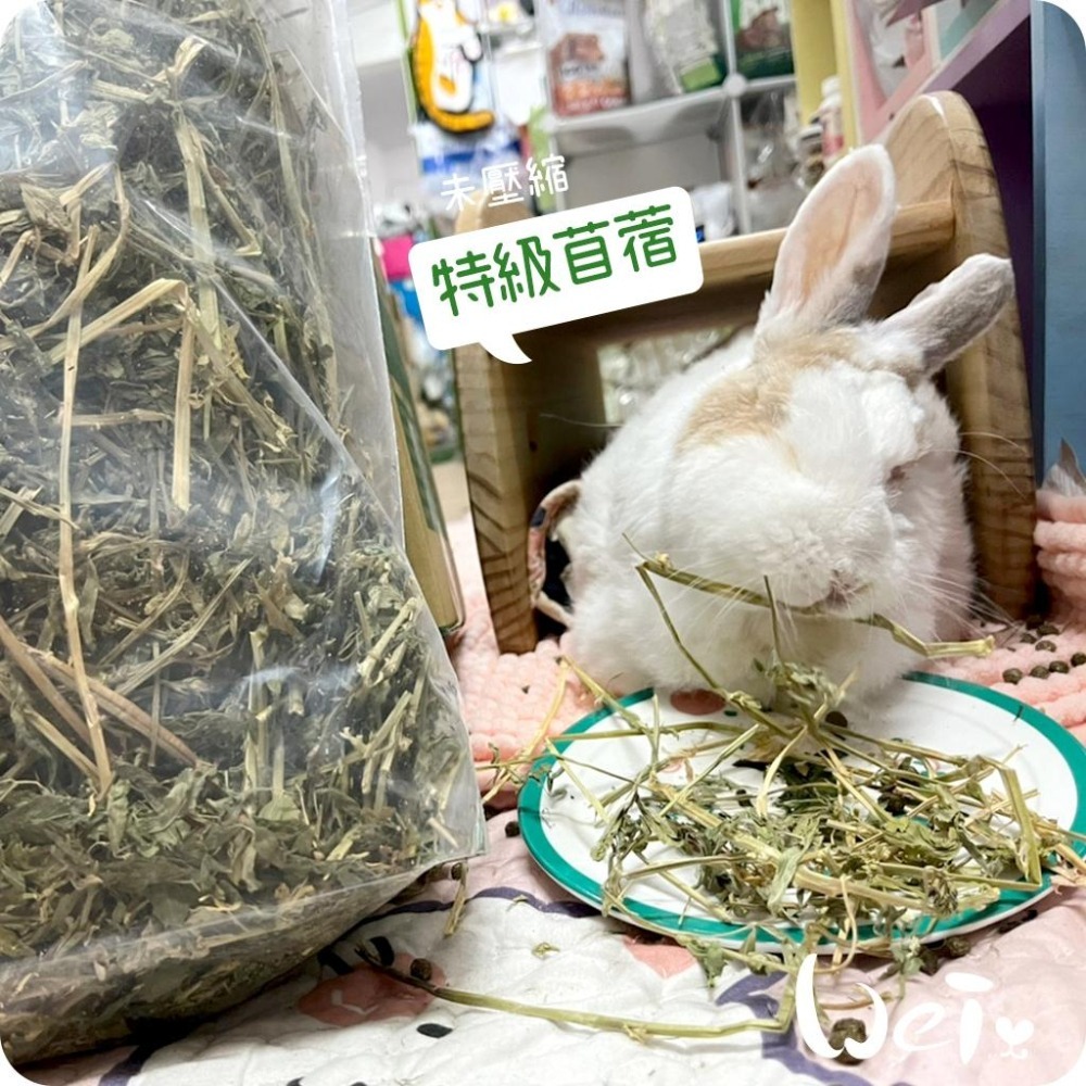 魏啥麻-摩米MOMI 農夫皇牌特選苜蓿草 1kg (兔 天竺鼠 龍貓牧草)-細節圖5