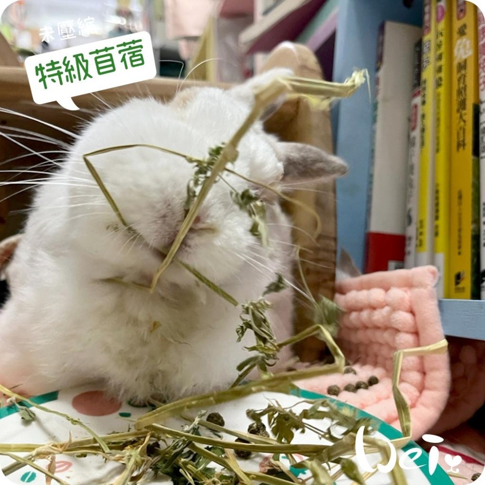 魏啥麻-摩米MOMI 農夫皇牌特選苜蓿草 1kg (兔 天竺鼠 龍貓牧草)-細節圖6