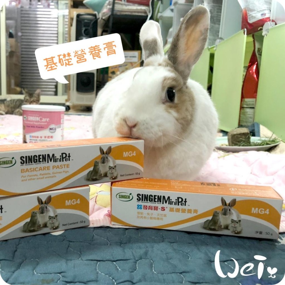 魏啥麻-信元發育寶 基礎營養膏 50g (香蕉風味 含維生素A D3 E B1 B6 C)兔 天竺鼠保健品-細節圖2