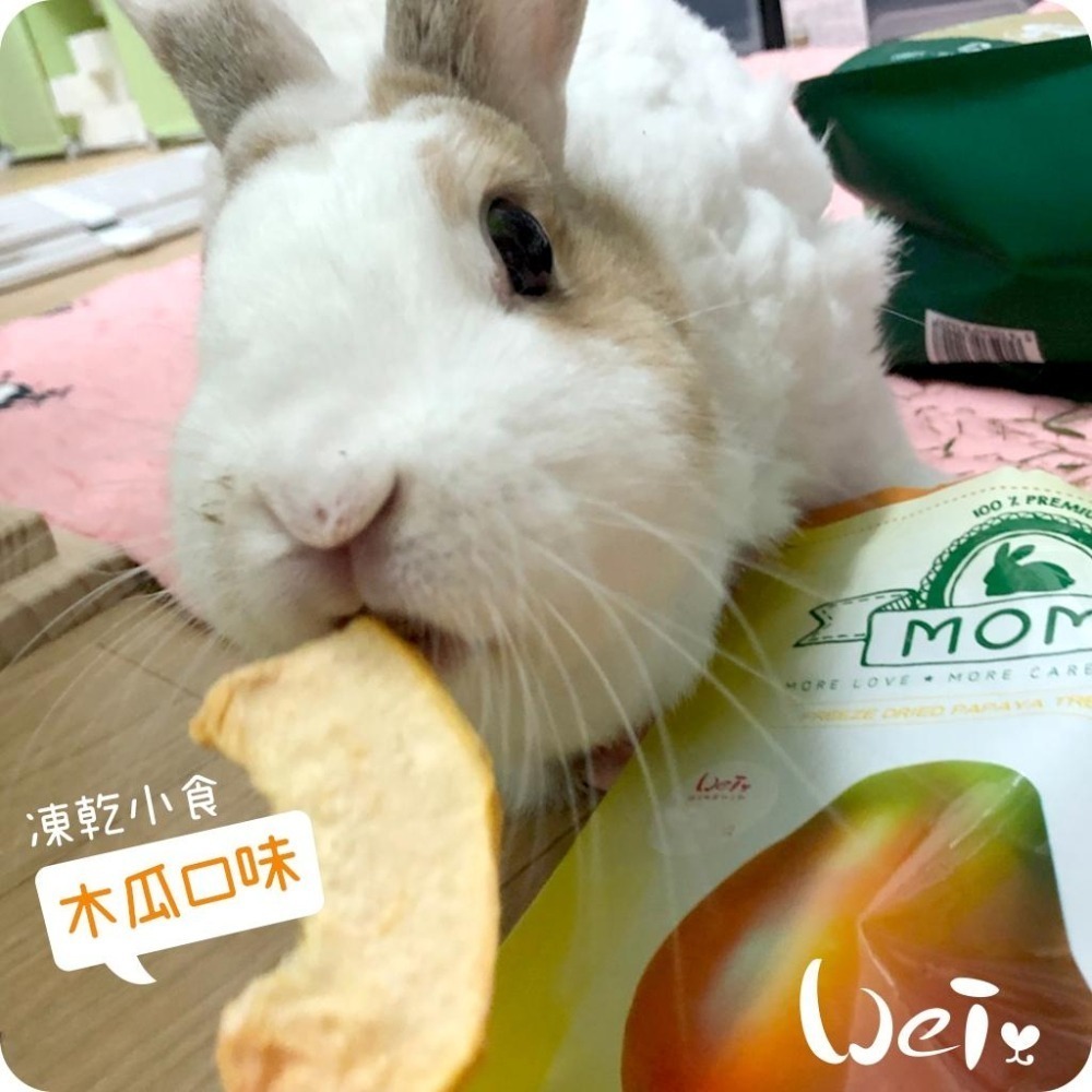 魏啥麻-摩米MOMI 水果凍乾 15g (蘋果 鳳梨 草莓 香蕉 藍莓 雪梨 水蜜桃)(兔 天竺鼠零食)-細節圖2