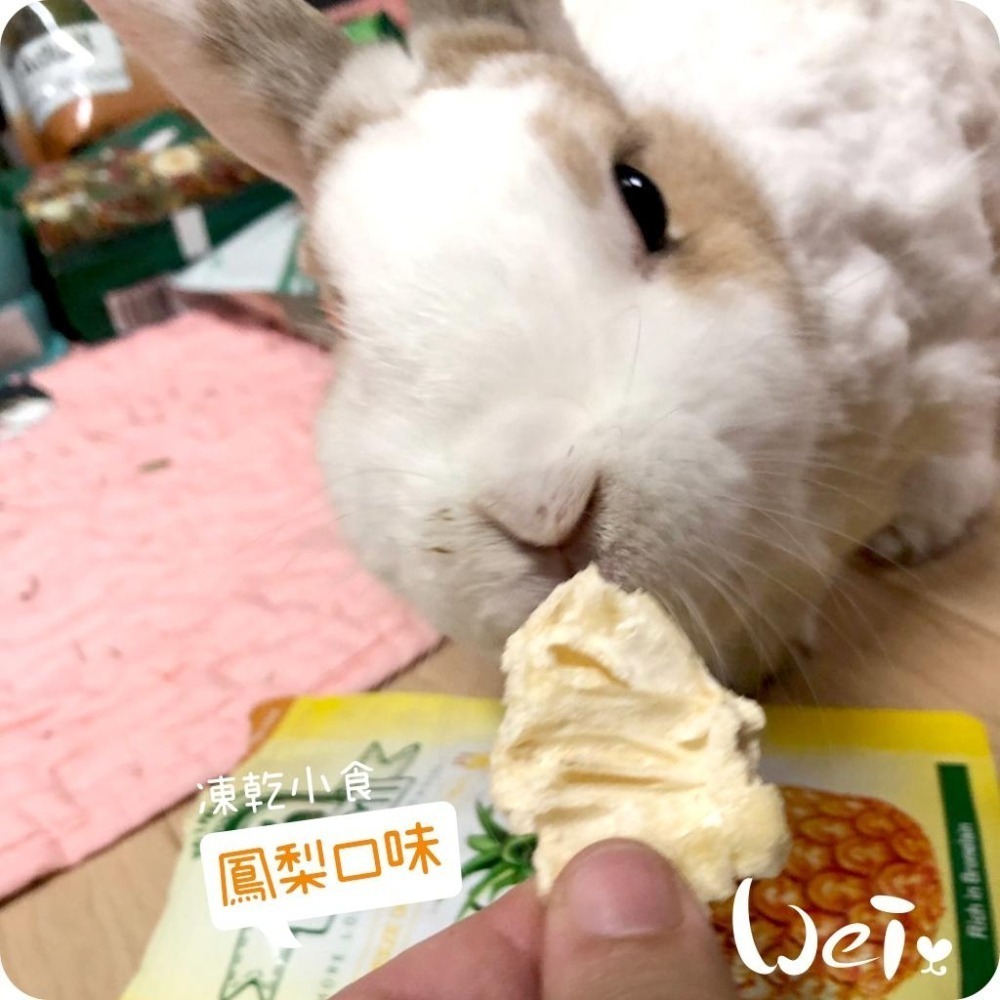 魏啥麻-摩米MOMI 水果凍乾 15g (蘋果 鳳梨 草莓 香蕉 藍莓 雪梨 水蜜桃)(兔 天竺鼠零食)-細節圖7