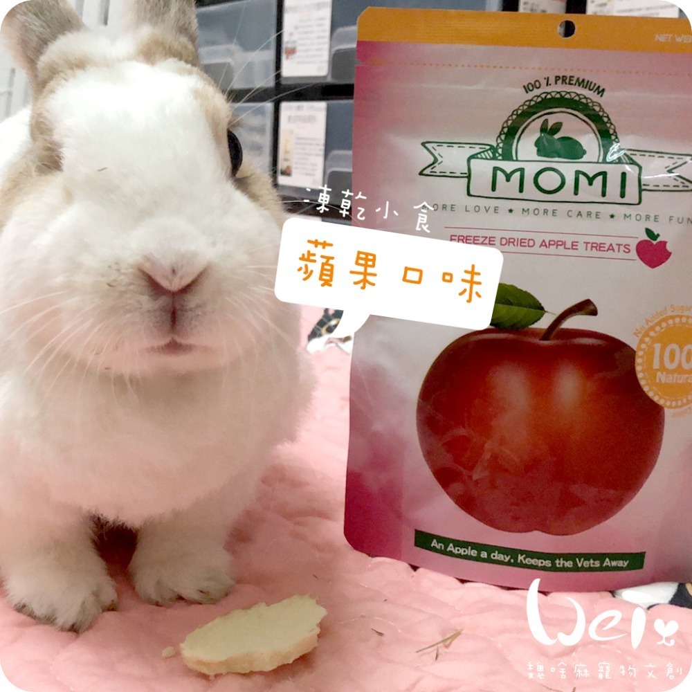魏啥麻-摩米MOMI 水果凍乾 15g (蘋果 鳳梨 草莓 香蕉 藍莓 雪梨 水蜜桃)(兔 天竺鼠零食)-規格圖11