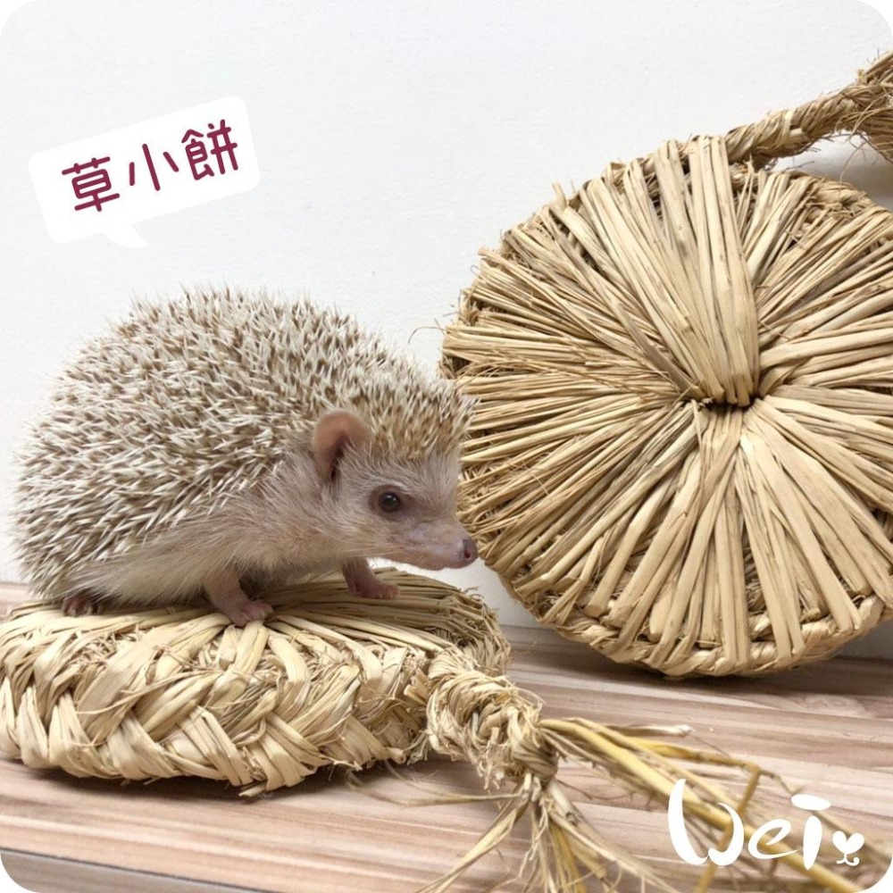 魏啥麻-台灣手編 天然 草大餅 / 草小餅 磨牙玩具 (兔 天竺鼠 龍貓)-細節圖8