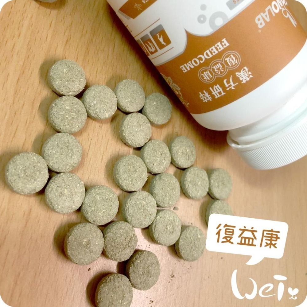 魏啥麻-CI兔 Citwo LAB 漢方研粹 復益康 110錠 (適用食慾不振 元氣不足 體質虛弱) 兔 天竺鼠保健品-細節圖4