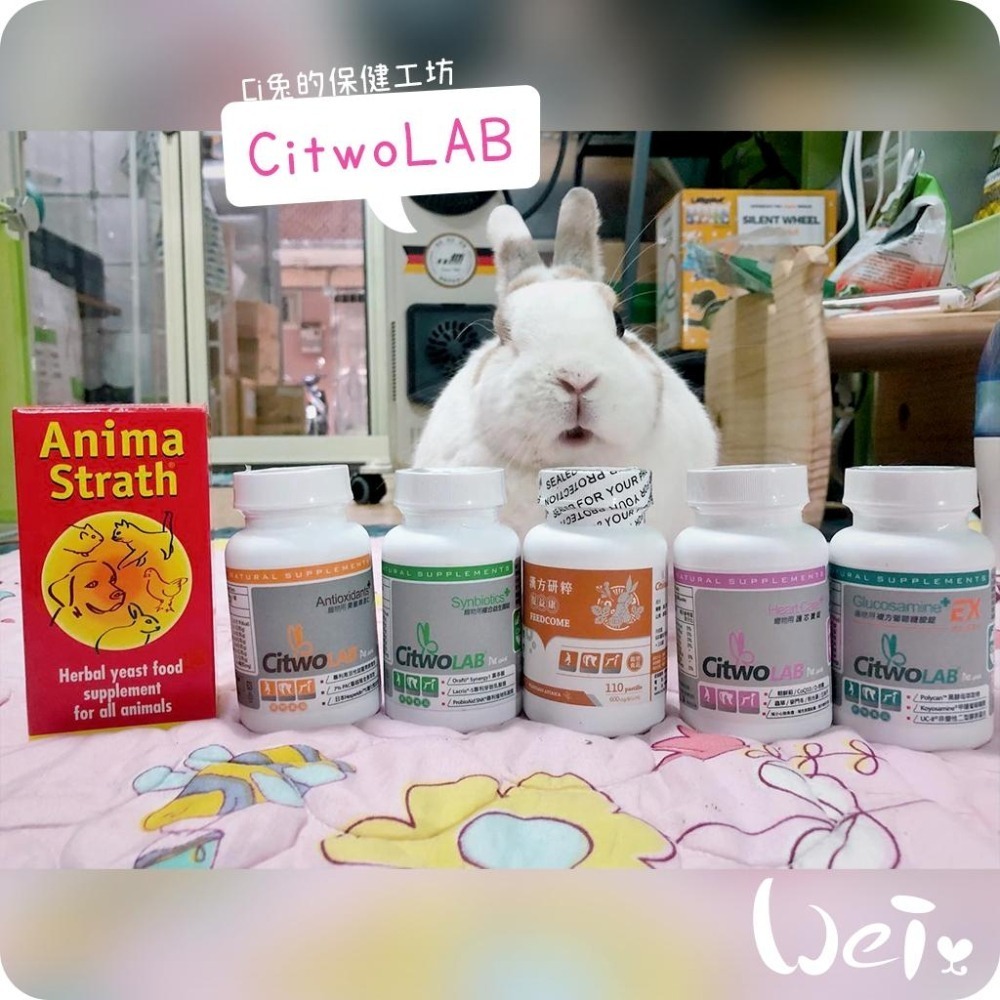 魏啥麻-CI兔 Citwo LAB 漢方研粹 復益康 110錠 (適用食慾不振 元氣不足 體質虛弱) 兔 天竺鼠保健品-細節圖8