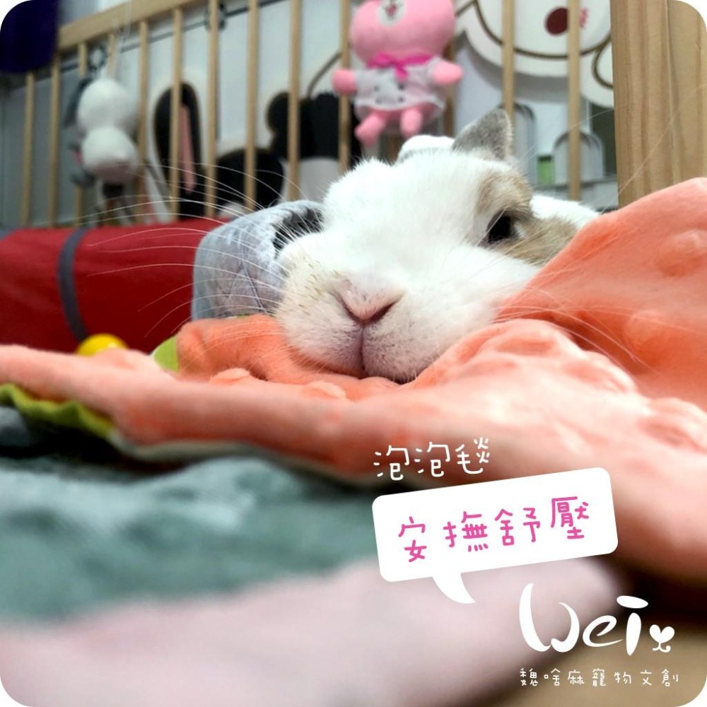 魏啥麻手作-【台灣製造】泡泡小床毯 (兔 天竺鼠)-細節圖2