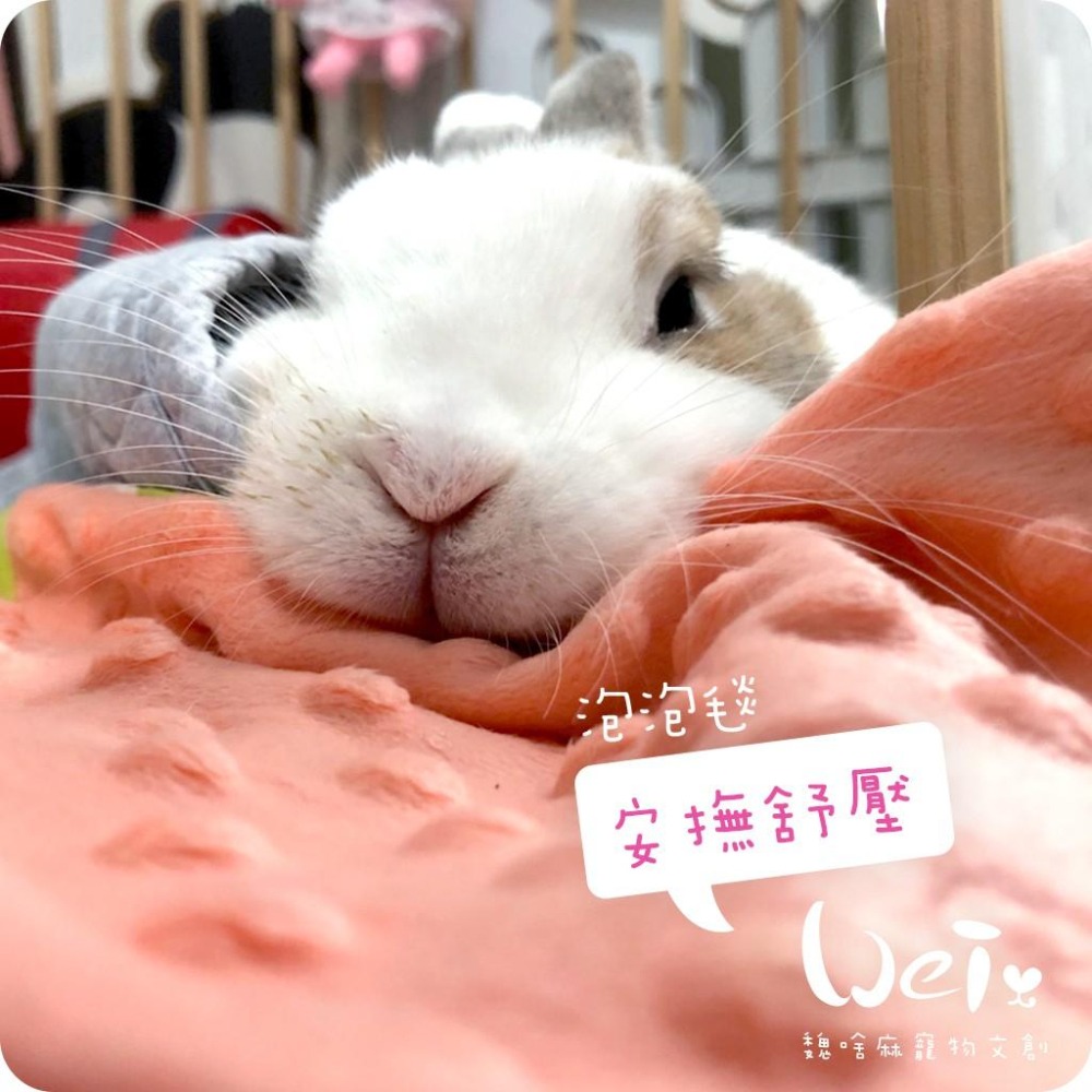 魏啥麻手作-【台灣製造】泡泡小床毯 (兔 天竺鼠)-細節圖3