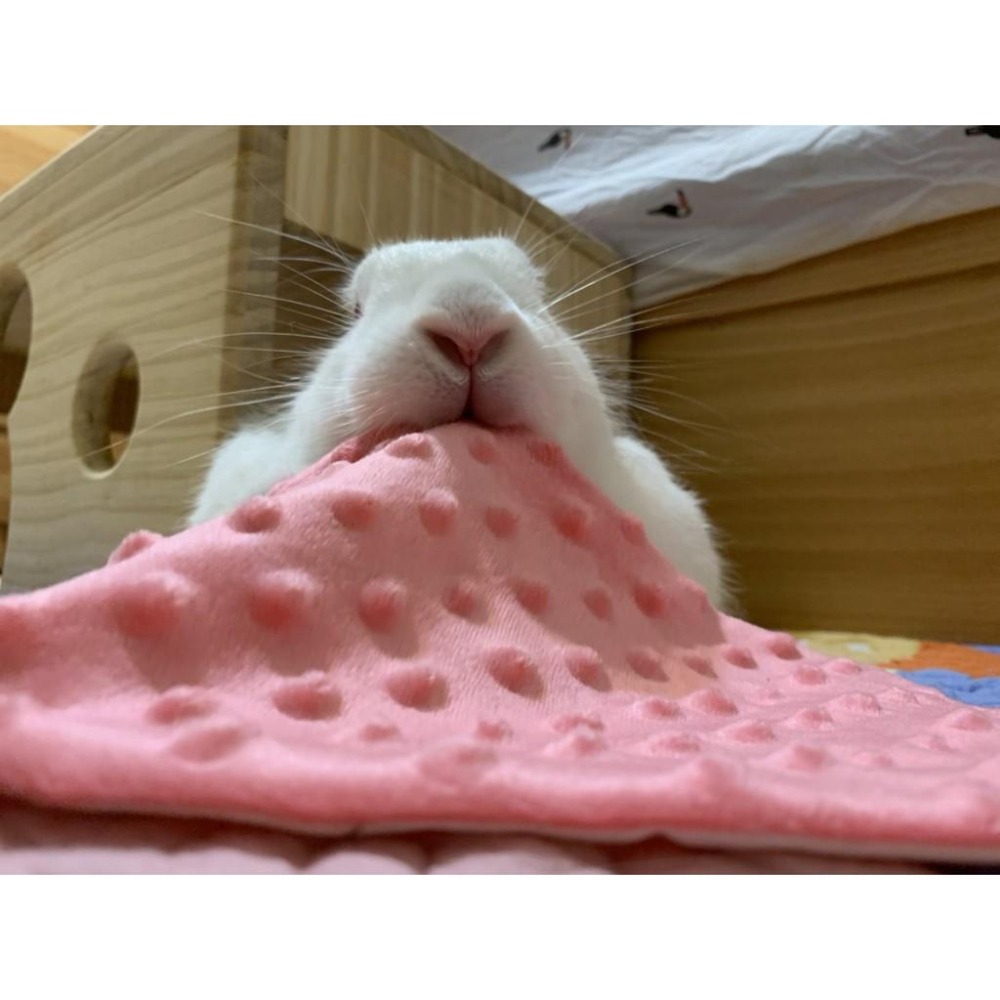 魏啥麻手作-【台灣製造】泡泡小床毯 (兔 天竺鼠)-細節圖8
