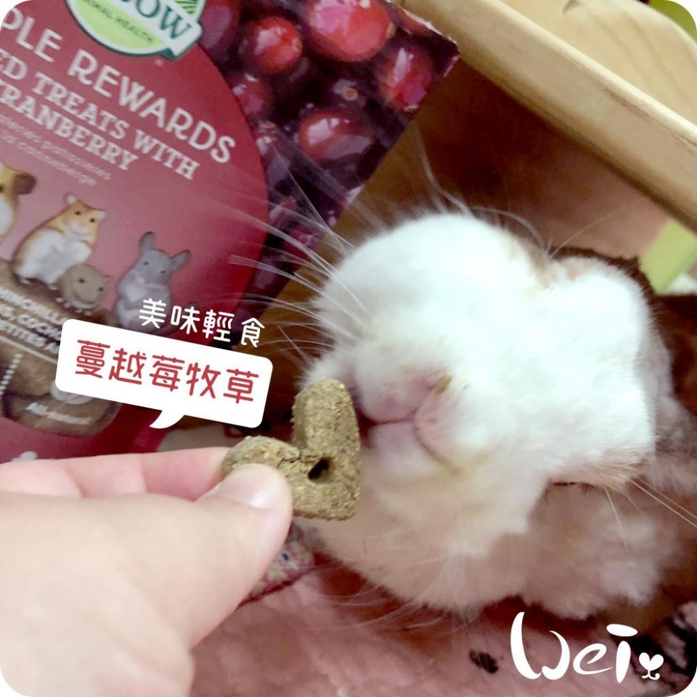 魏啥麻-美國OXBOW 蔓越莓牧草烘焙零食 85g (牧草餅)(兔 天竺鼠零食)-細節圖2