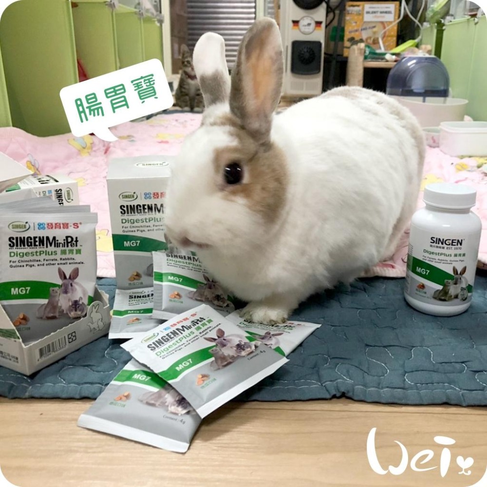 魏啥麻-信元發育寶腸胃寶 60g (腸胃保健 含木瓜酵素+納豆菌+菊糖)地瓜風味(兔 天竺鼠保健品-細節圖4