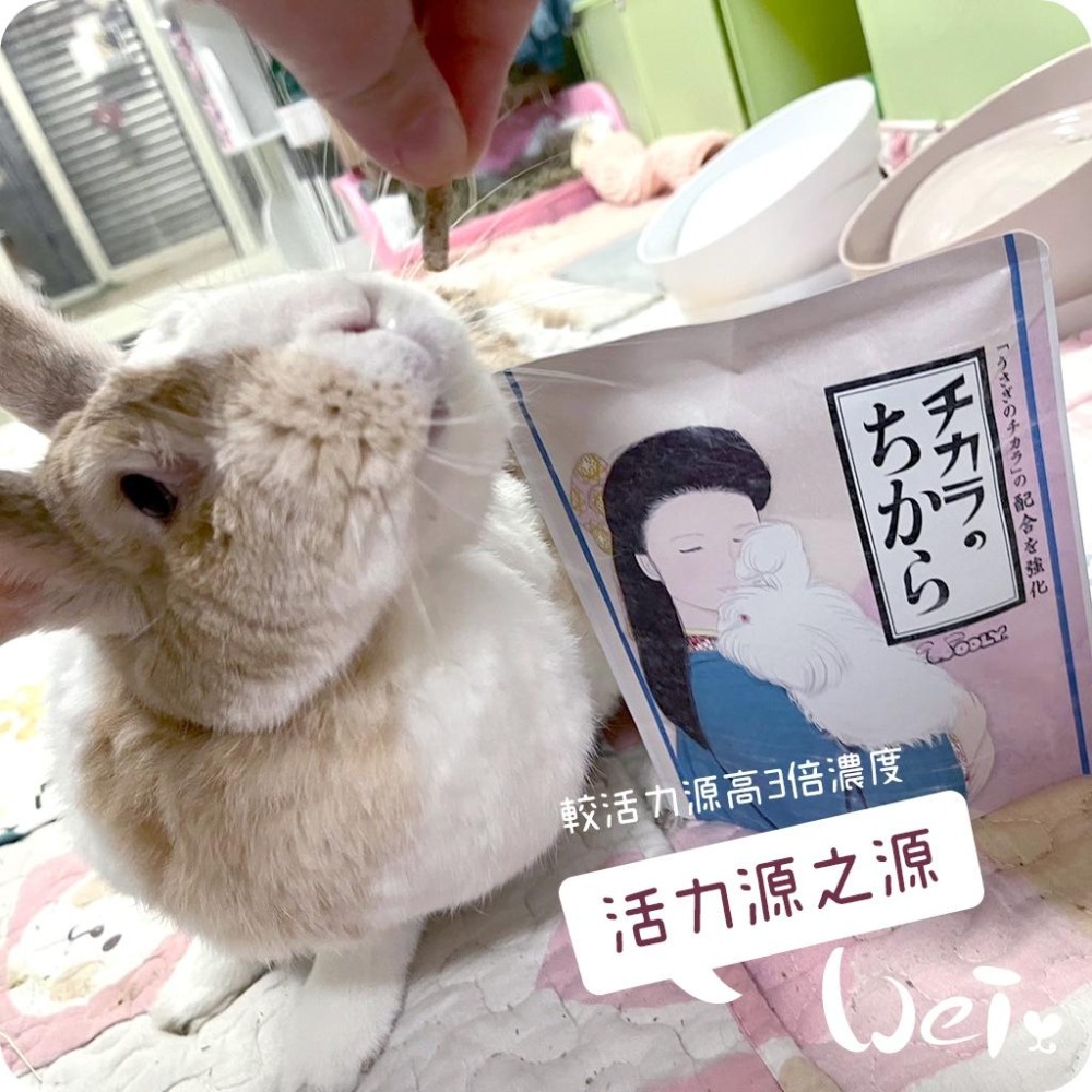 魏啥麻-日本WOOLY活力源之源 80錠/包 (全身機能性保健 比寵兔活力源高三倍濃度)兔 天竺鼠保健品-細節圖4