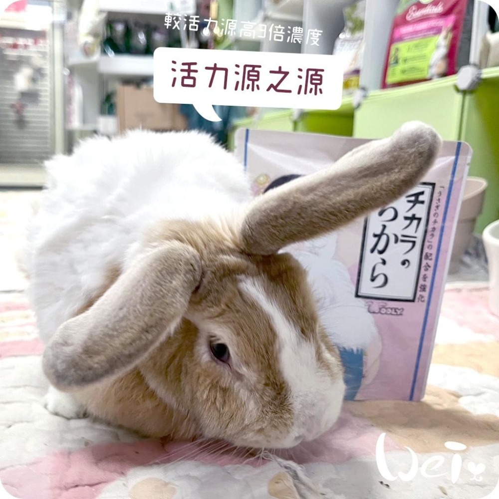 魏啥麻-日本WOOLY活力源之源 80錠/包 (全身機能性保健 比寵兔活力源高三倍濃度)兔 天竺鼠保健品-細節圖5