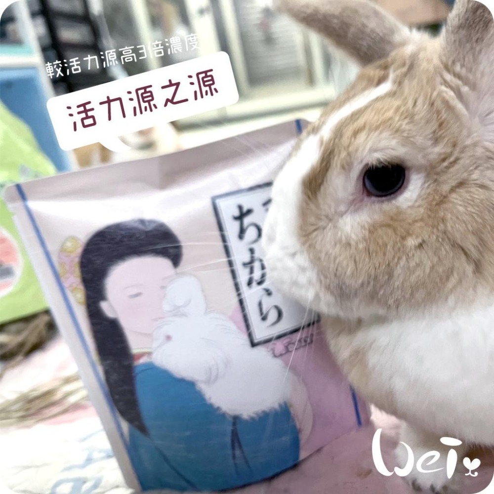 魏啥麻-日本WOOLY活力源之源 80錠/包 (全身機能性保健 比寵兔活力源高三倍濃度)兔 天竺鼠保健品-細節圖6