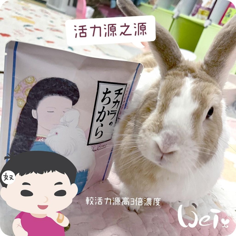 魏啥麻-日本WOOLY活力源之源 80錠/包 (全身機能性保健 比寵兔活力源高三倍濃度)兔 天竺鼠保健品-細節圖7