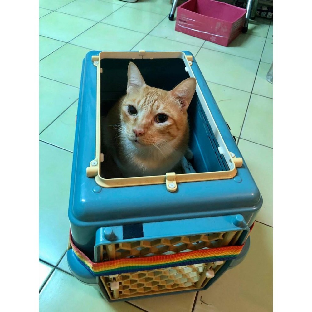 魏啥麻手作-外出籠 防風罩 (透氣棉布款) 純販售外出籠罩，不含籠子-細節圖4