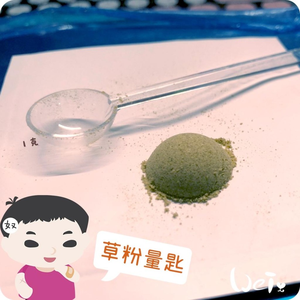 魏啥麻-草粉量匙 (小藥匙) 約10.5cm長-細節圖2