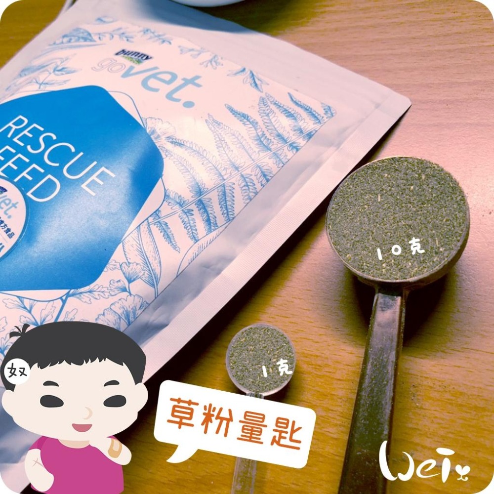 魏啥麻-草粉量匙 (小藥匙) 約10.5cm長-細節圖4