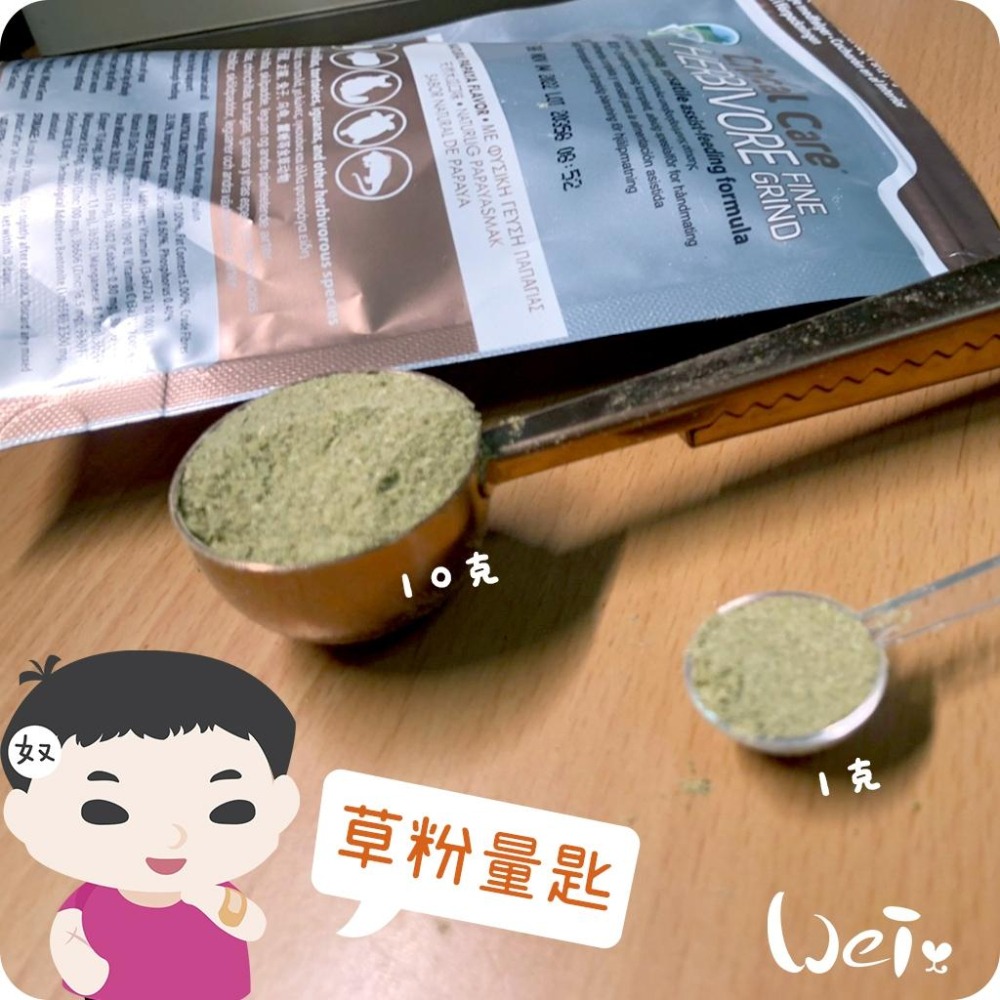 魏啥麻-草粉量匙 (小藥匙) 約10.5cm長-細節圖6