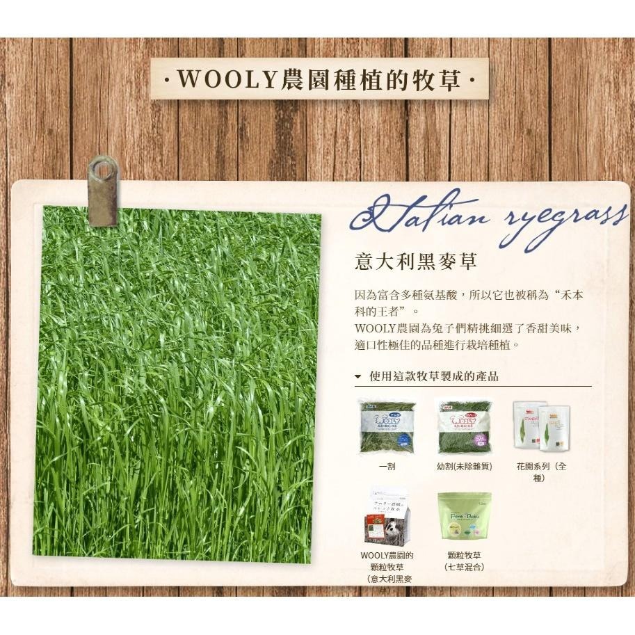 魏啥麻-日本WOOLY高原的義大利黑麥草幼割 400g (葉多) 2025年度草 (兔 天竺鼠 龍貓牧草)-細節圖2