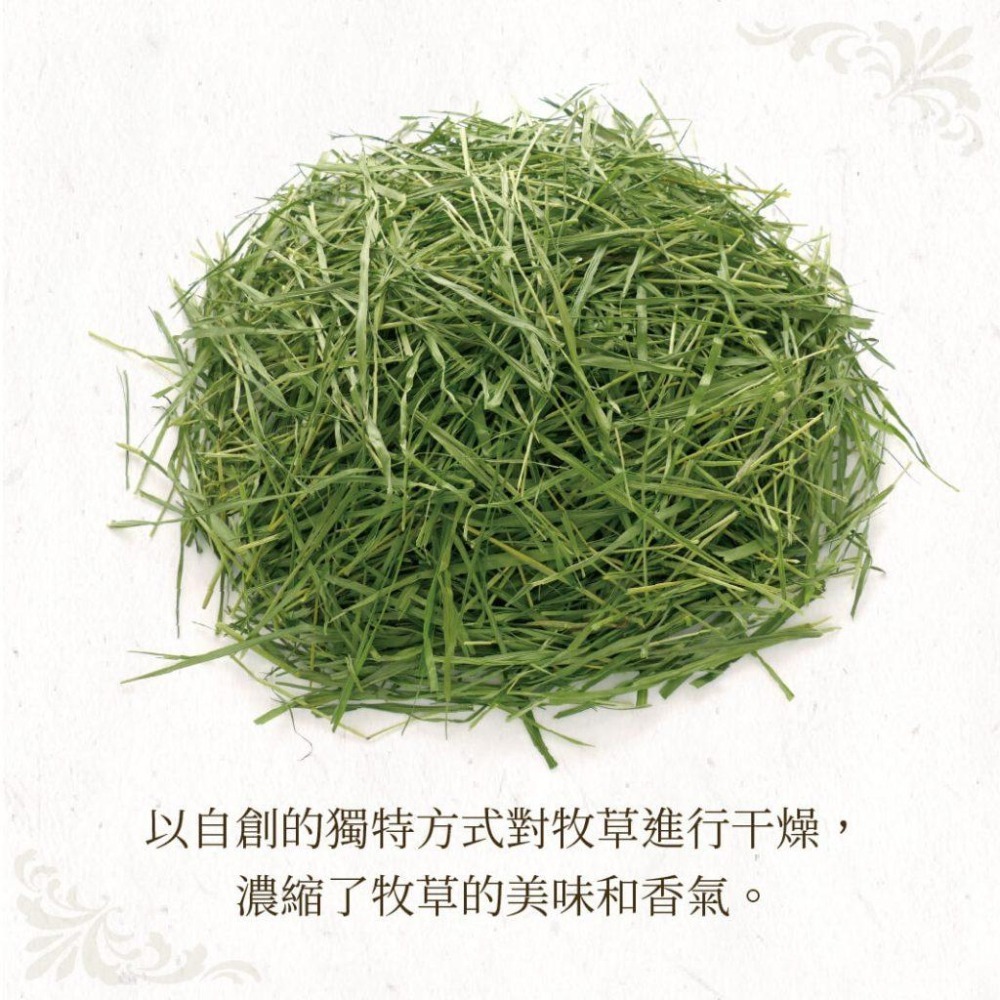 魏啥麻-日本WOOLY高原的義大利黑麥草幼割 400g (葉多) 2025年度草 (兔 天竺鼠 龍貓牧草)-細節圖3