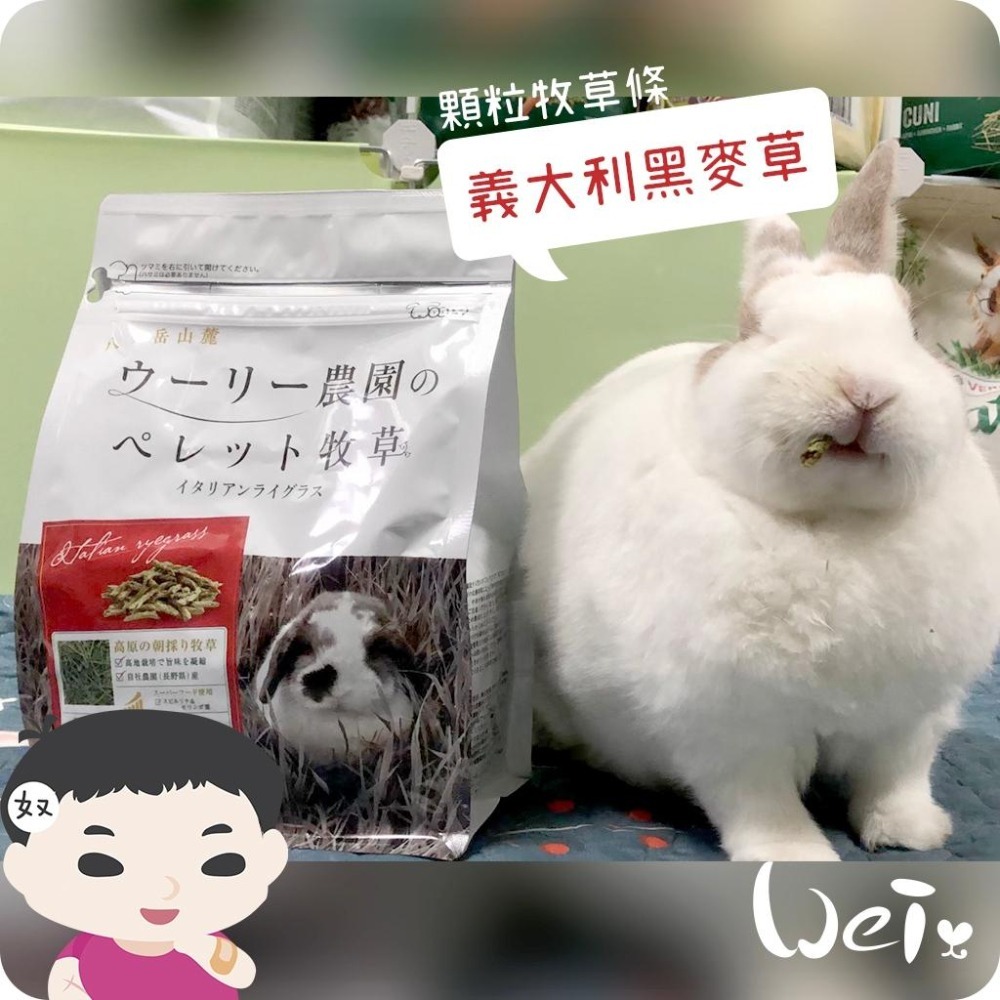 魏啥麻-日本WOOLY義大利黑麥草顆粒牧草條 300g(補助食品 無穀物無苜蓿 低鈣 蛋白含量高)兔 天竺鼠-細節圖5