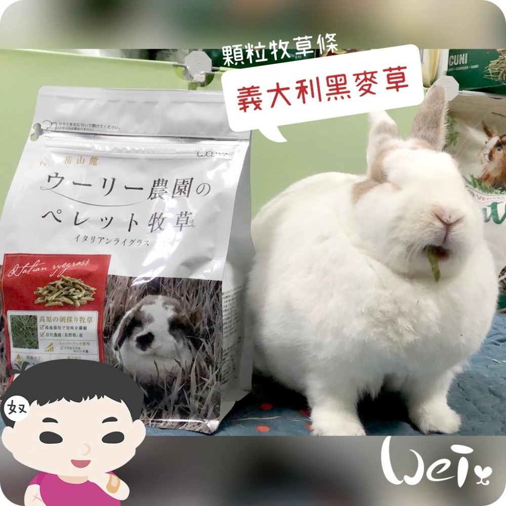 魏啥麻-日本WOOLY義大利黑麥草顆粒牧草條 300g(補助食品 無穀物無苜蓿 低鈣 蛋白含量高)兔 天竺鼠-細節圖6