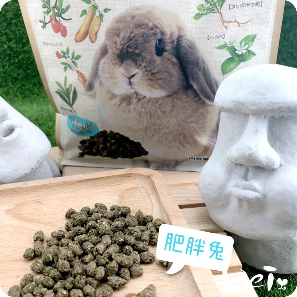 魏啥麻-日本GEX彩食健美肥胖兔 800g (高蛋白(17%) 添加發酵孟宗竹乳酸菌 七種草本) (兔飼料)-細節圖2
