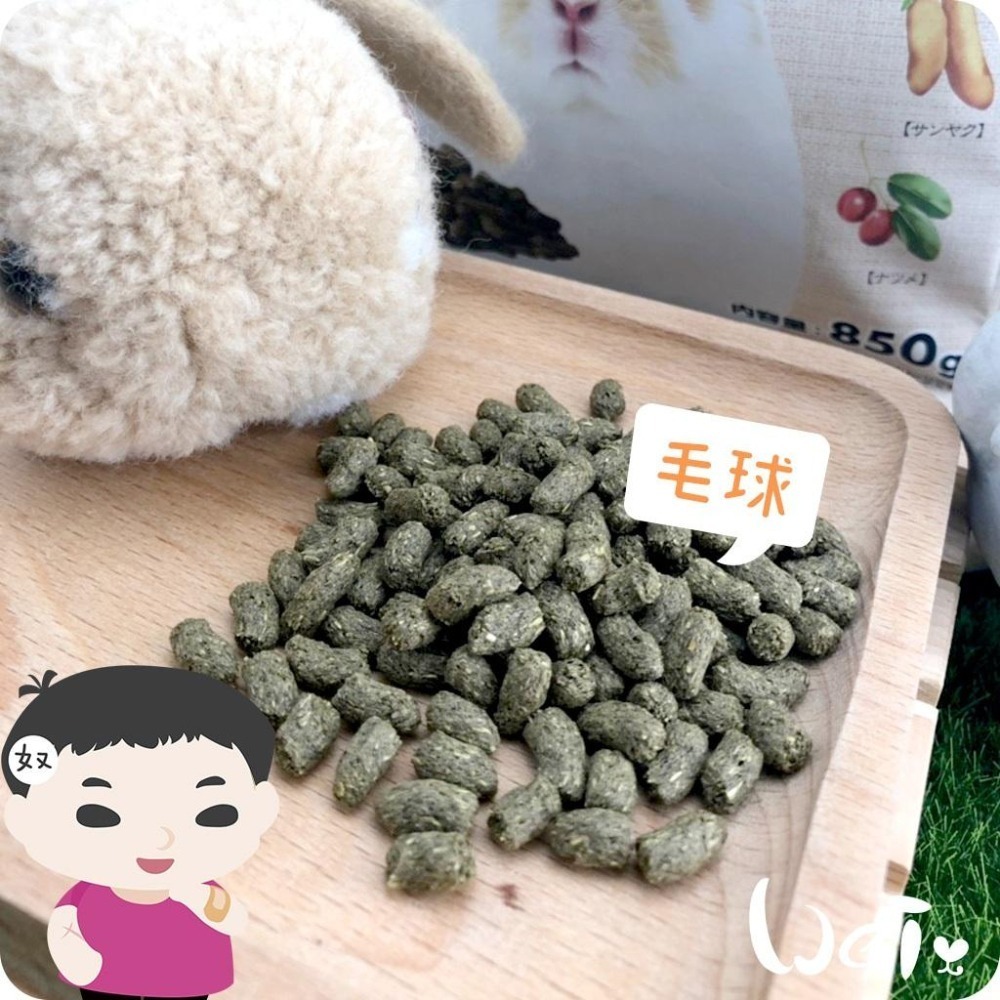 魏啥麻-日本GEX彩食健美毛球 800g (高蛋白(16%) 含發酵孟宗竹乳酸菌 七種草本)(兔飼料)-細節圖2