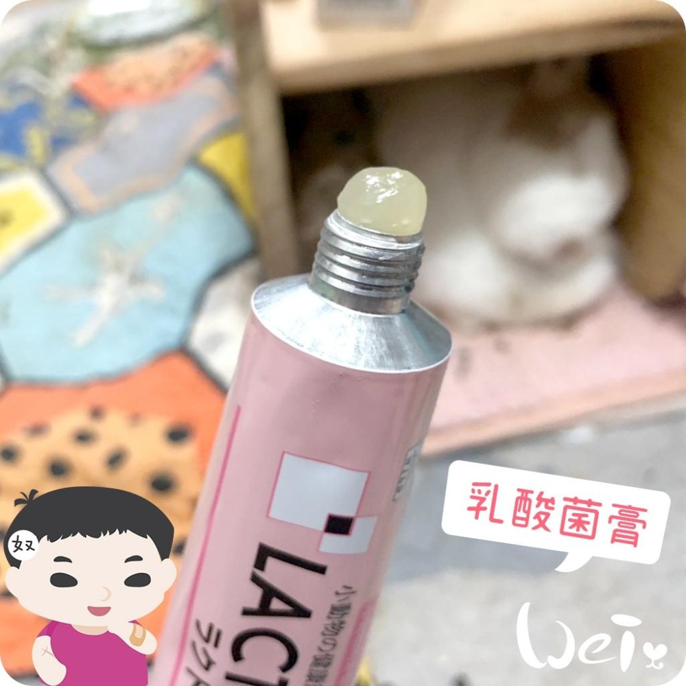 魏啥麻-日本Sanko 小動物乳酸菌膏 50g (含維生素 A E D3) 兔 天竺鼠保健品-細節圖2