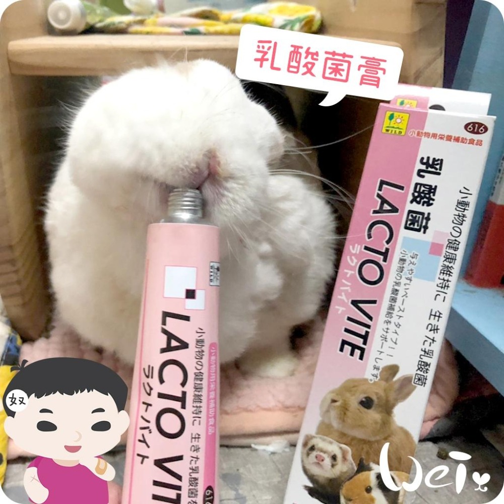 魏啥麻-日本Sanko 小動物乳酸菌膏 50g (含維生素 A E D3) 兔 天竺鼠保健品-細節圖3