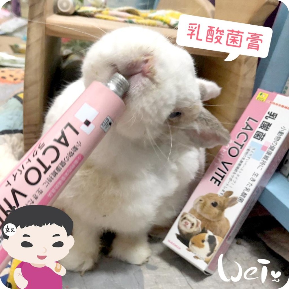 魏啥麻-日本Sanko 小動物乳酸菌膏 50g (含維生素 A E D3) 兔 天竺鼠保健品-細節圖5