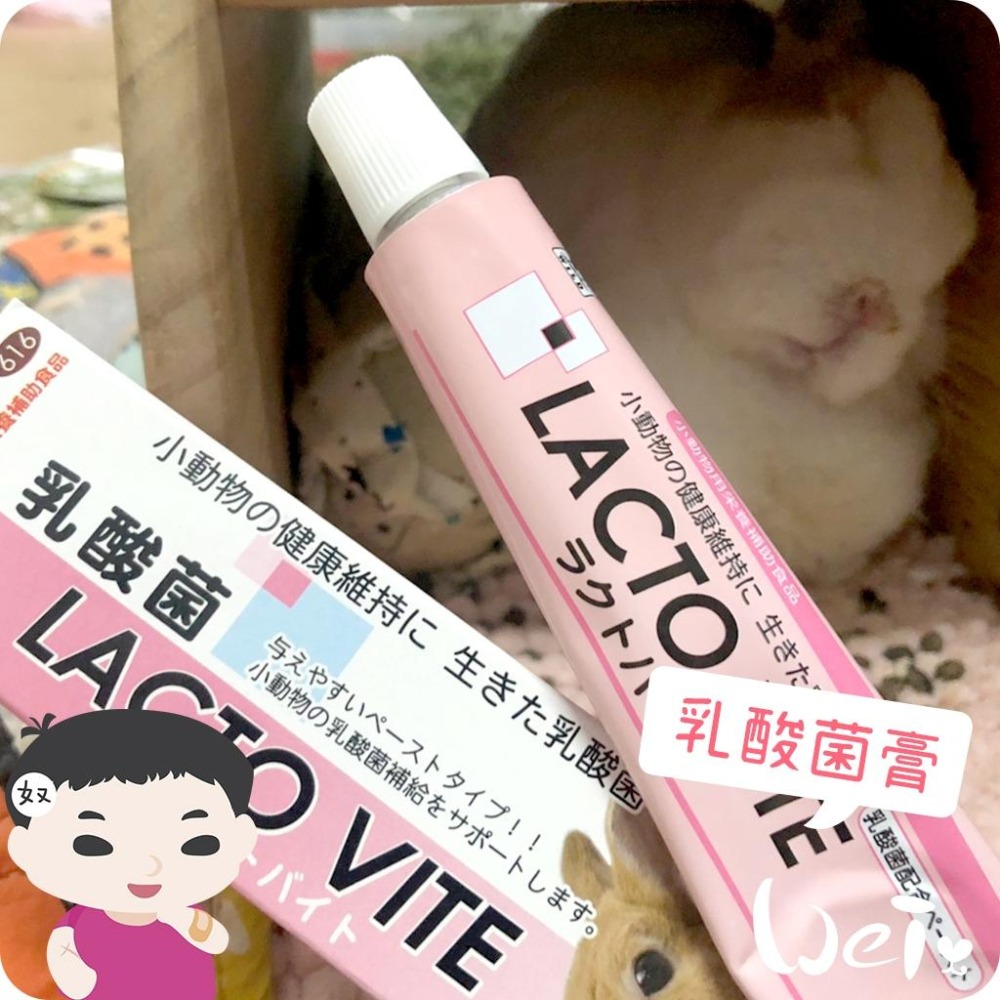 魏啥麻-日本Sanko 小動物乳酸菌膏 50g (含維生素 A E D3) 兔 天竺鼠保健品-細節圖6