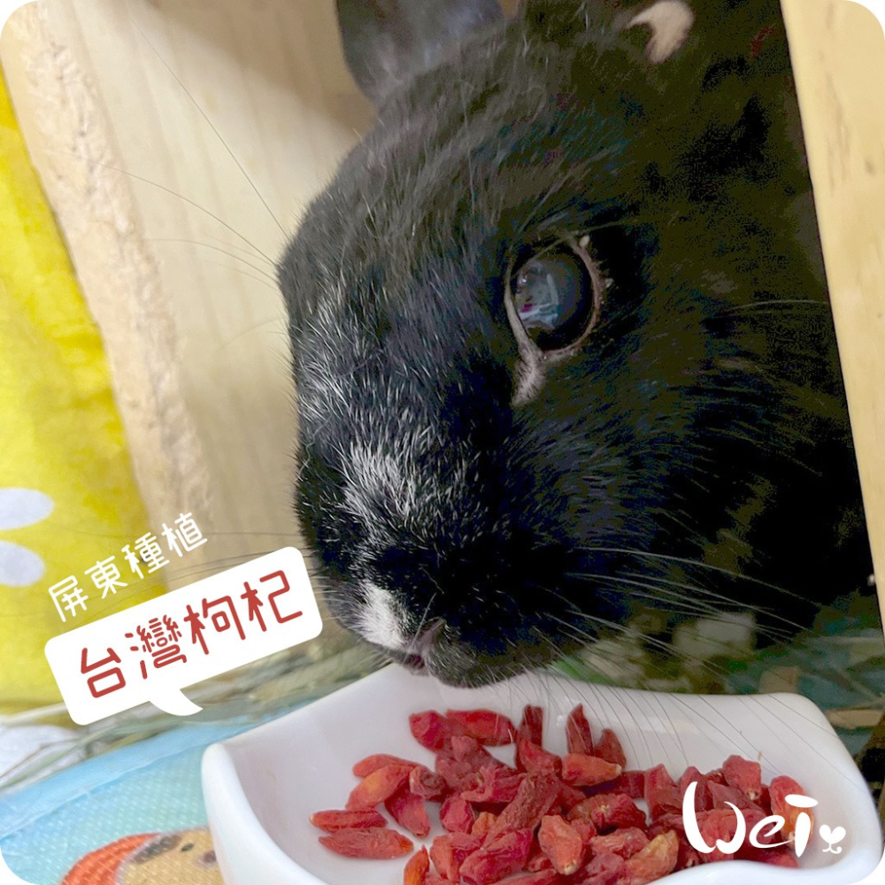 魏啥麻-啥一管-枸杞 袋裝 35g (兔 天竺鼠零食)-細節圖2