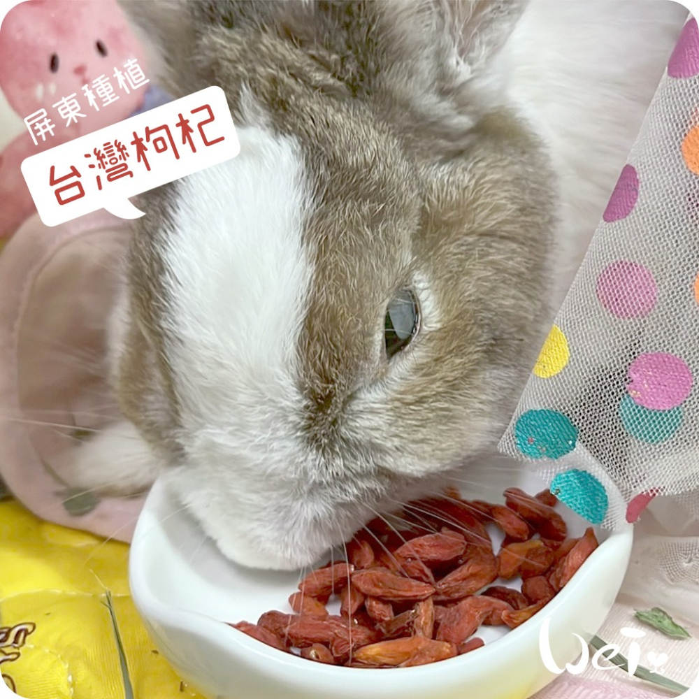 魏啥麻-啥一管-枸杞 袋裝 35g (兔 天竺鼠零食)-細節圖3