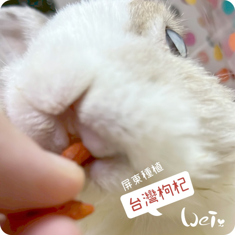 魏啥麻-啥一管-枸杞 袋裝 35g (兔 天竺鼠零食)-細節圖4