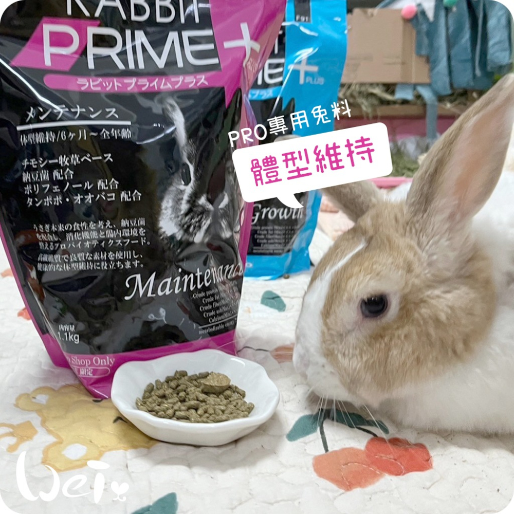 魏啥麻-日本SANKO PRO體型維持飼料 1.1kg(低鈣低熱量 粗纖維高 納豆芽苞益菌 植物多酚 蒲公英 車前草)-細節圖2