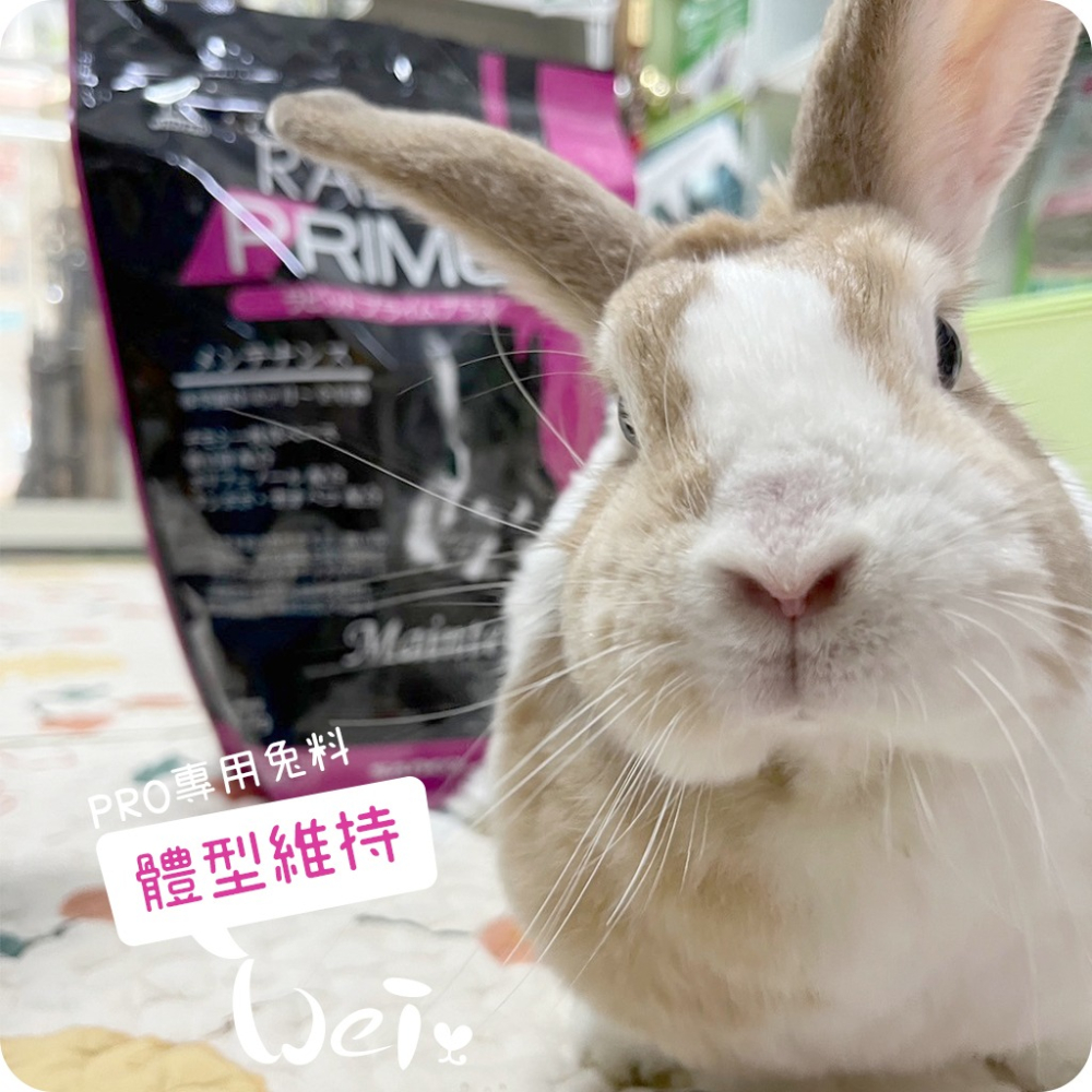 魏啥麻-日本SANKO PRO體型維持飼料 1.1kg(低鈣低熱量 粗纖維高 納豆芽苞益菌 植物多酚 蒲公英 車前草)-細節圖5