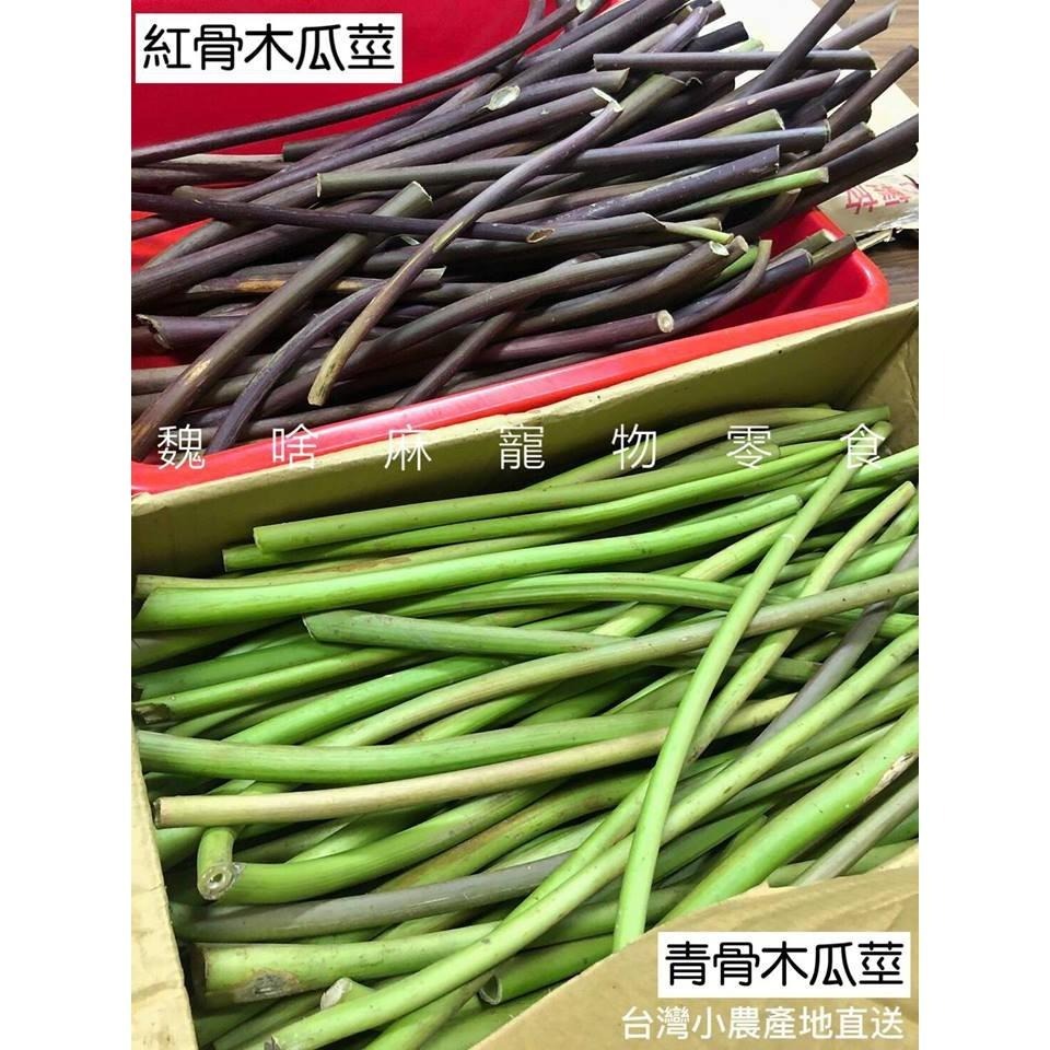 魏啥麻-NG紅骨木瓜莖 (純天然無添加 請少量給予)寵物手工零食-細節圖4