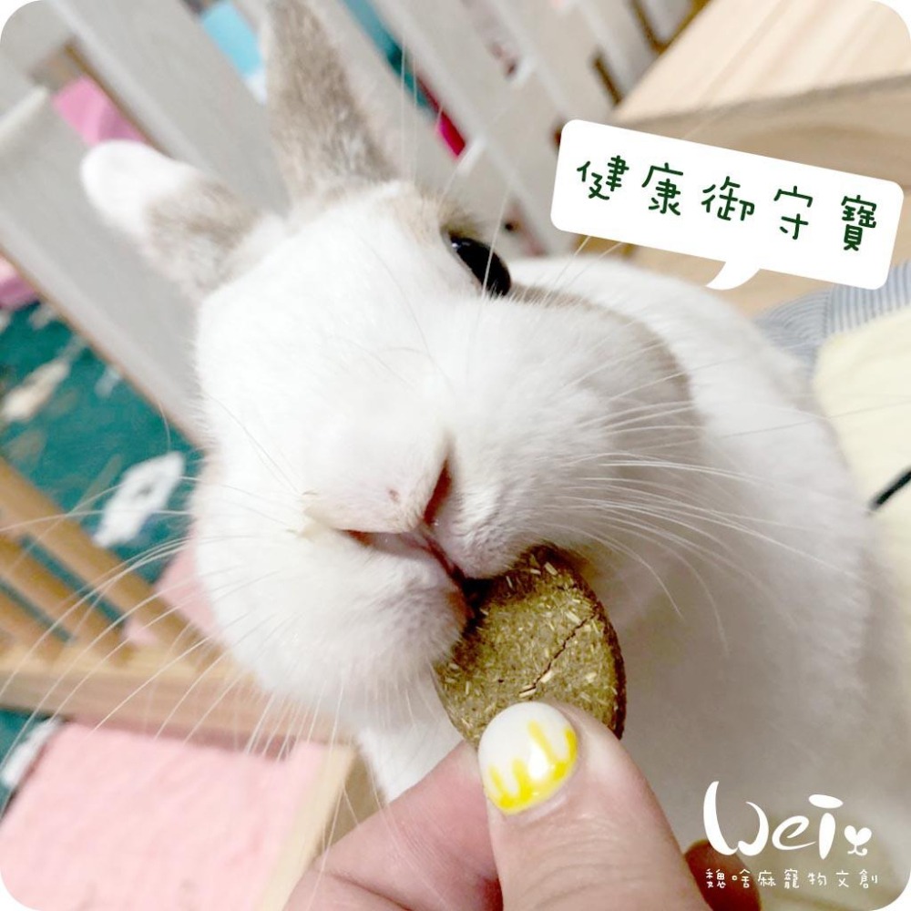 魏啥麻-美國OXBOW維它寶錠60錠(適用病後調養 含牧草 維生素ACDE&B群 DHA OMEGA 生物素)兔保健品-細節圖2