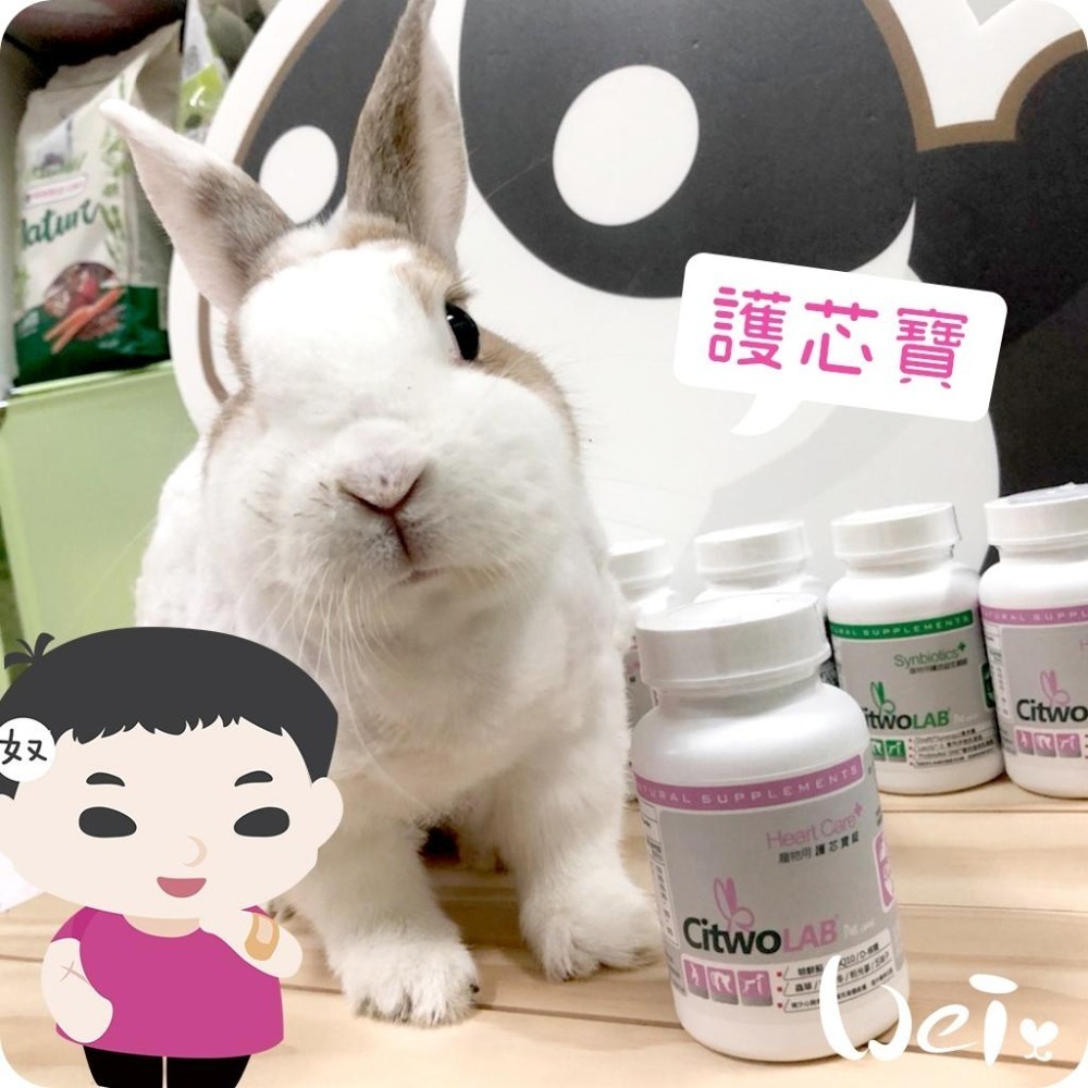 魏啥麻-CI兔 Citwo LAB 護芯寶 180錠 (心肺肝腎保健)兔 天竺鼠保健品-細節圖2